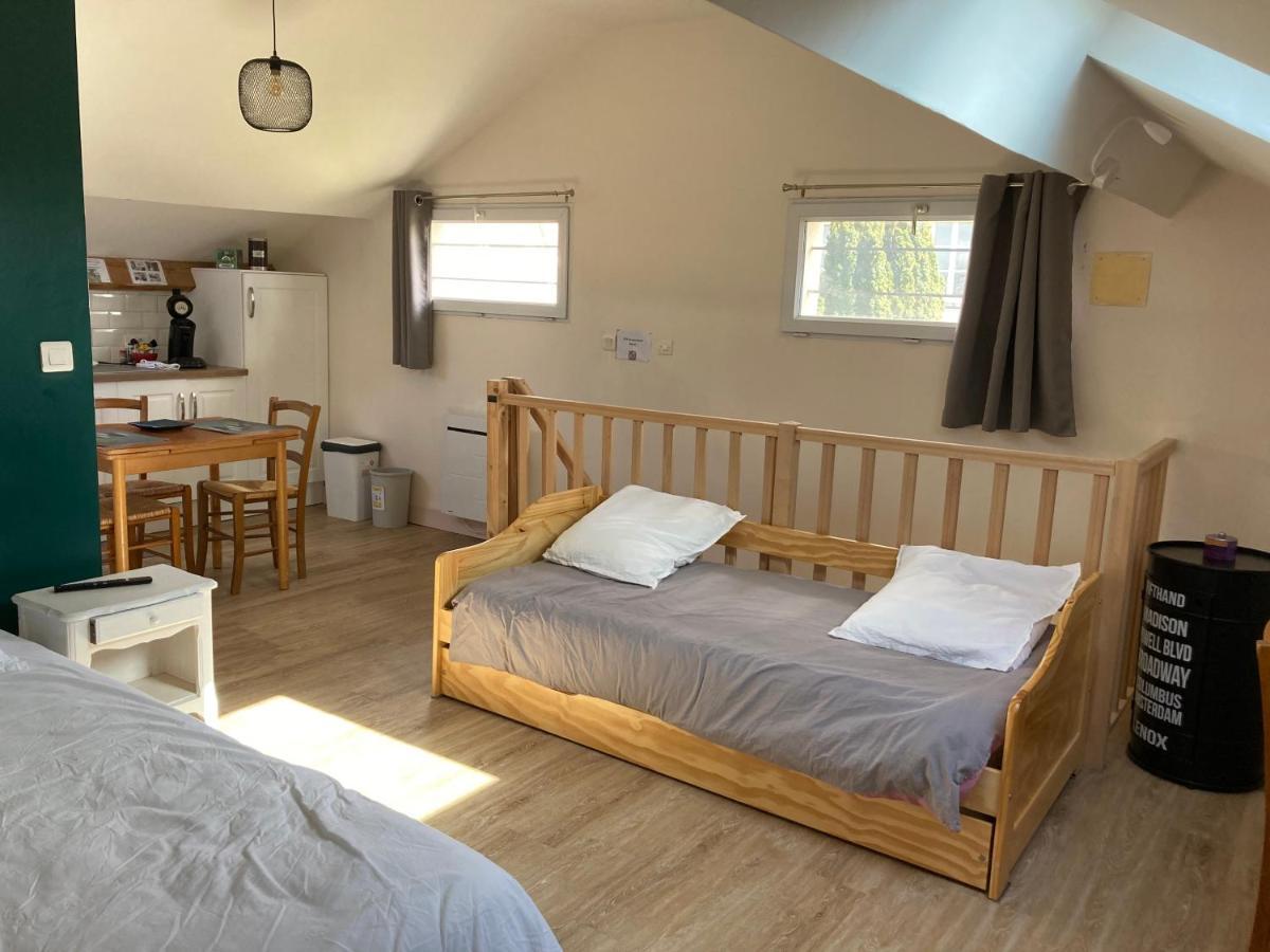 Studio Proche Orleans Centre Saint-Jean-le-Blanc 외부 사진