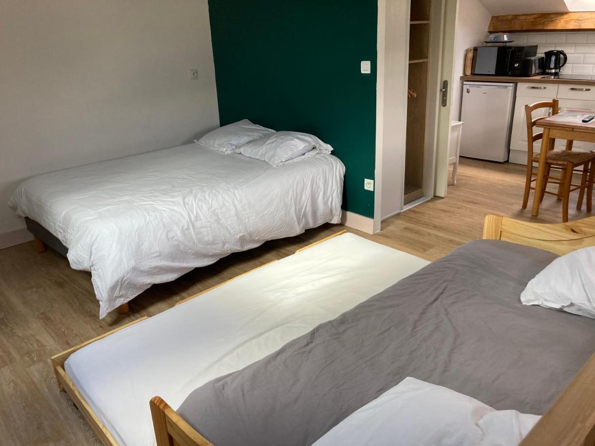 Studio Proche Orleans Centre Saint-Jean-le-Blanc 외부 사진