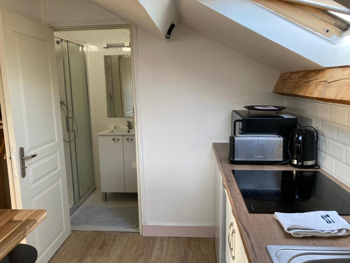 Studio Proche Orleans Centre Saint-Jean-le-Blanc 외부 사진